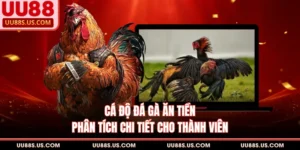 Cá Độ Đá Gà Ăn Tiền - Phân Tích Chi Tiết Cho Thành Viên