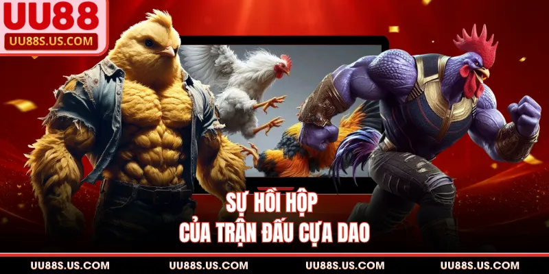 Sự hồi hộp của trận đấu cựa dao