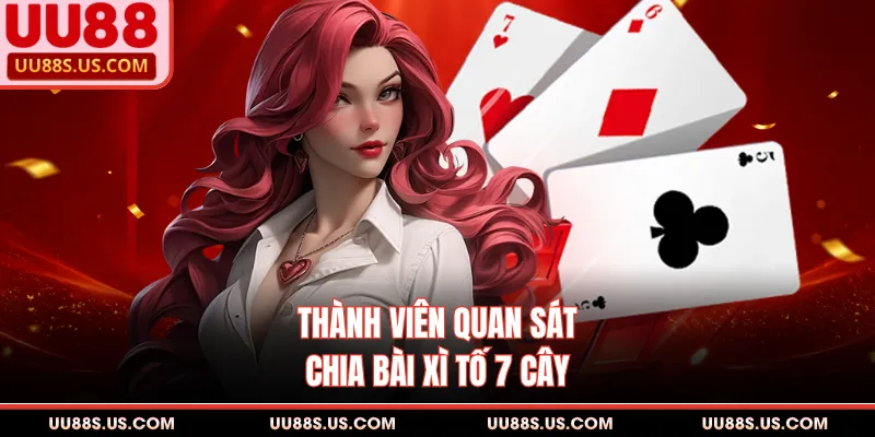 Thành viên quan sát chia bài xì tố 7 cây 
