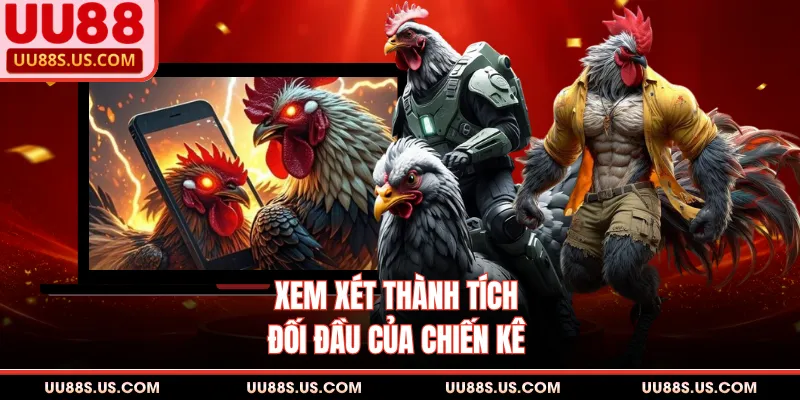 Xem xét thành tích đối đầu của chiến kê